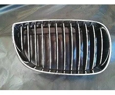 BMW Dešinės Pusės Grilė E81 E87 2006 2011 Originalus 51137128614