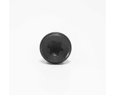 BMW E36 Torx varžtas originalus 54218410534
