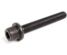 BMW E39 E38 X5 Torx varžtas Originalus 11361432438