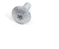 BMW E46 Torx varžtas Originalus 41358203482