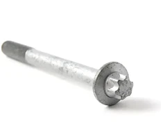 BMW E65 vožtuvo dangtelio varžtas Originalus 11427540758