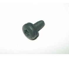 BMW E81 E87 F22 F31 Torx varžto varžtas originalus 07147186859