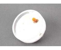 BMW E85 E86 Papildomas posūkio lemputės žibintas originalus 63137165734