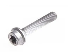 BMW E87 Torx varžtas su apykakle Originalus 11517789351