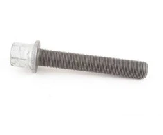 BMW F20 vibracijos slopintuvo varžtas Originalus 11217614270