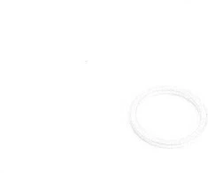 BMW gniuždymo poveržlė, tarpiklis, sandarinimo žiedas 16 mm x 20 mm 9906463 07119906463