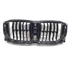 Bmw Grotelės G05 X5 M50i X5 Xdrive40i Originalus 51745A29C42