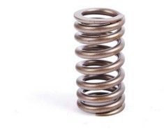 BMW MINI R50 R52 R53 vožtuvo spyruoklė originali 11341485590