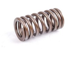 BMW MINI R50 R52 R53 vožtuvo spyruoklė originali 11341485590