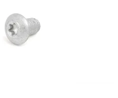 BMW Torx Varžtas E81 E87 E90 F20 F30 34106772427 Originalus
