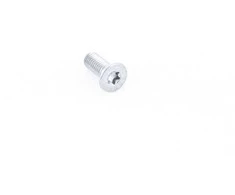 BMW MINI Torx įleistinis varžtas originalus 51217130110