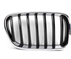 BMW originalus priekinis dešinysis groteles 51117210726