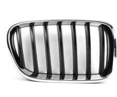 BMW originalus priekinis dešinysis groteles 51117210726