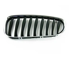 BMW Originalus Priekinis Kairysis Inksto Grotelės E85/E86 Z4 51137051957