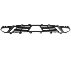 BMW Priekinis Bumperio Apatinis Grotelis 3 G20 Saloon G21 Touring Originalus 51117464199