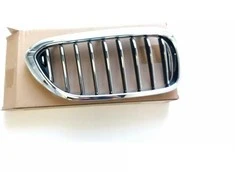 BMW Priekinis Dešinysis Grillis 5 G30 G31 Originalus 51137390866