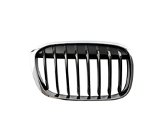 BMW Priekinis Dešinysis Grillis X1 F48 2014 2019 Originalus 51117383364
