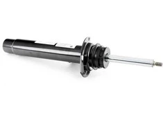 BMW Priekinis Stabdžių Atramos Ragarėlis 1 F20 F21 F22 Originalus 31316873721