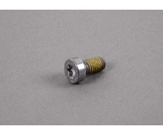 BMW Schraube Innentorx Bmw 1 E81 E87 E90 3 Serija Originalus 23117531355