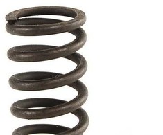 BMW suspaudimo spyruoklė 21522227764