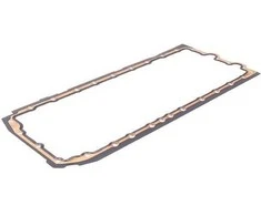 BMW tepalo skyriaus tarpiklis 11137548031 Originalus
