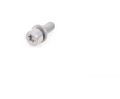 BMW Torx-bolt su guža F20 F21 F30 F32 F40 Originalus 07129904819