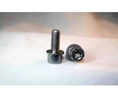 BMW Torx-varžtas su tarpine 07129905423 11719886428