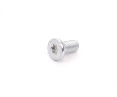 Bmw Torxsenkschraube E34 E39 E38 X5 E53 Z3 Z8 Originalus 51218153573
