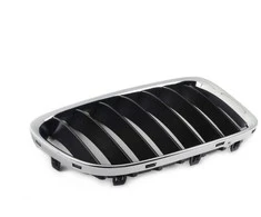 BMW X1 E84 Priekinis Dešinysis Grillis Originalus 51112993306