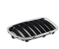 BMW X1 E84 Priekinis Dešinysis Grillis Originalus 51112993306