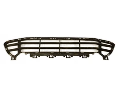 Bmw X1 F48 Lci 0518 1219 Centre Open Grid Originalus 51117954220