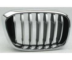 Bmw X3 G01 X4 G02 Priekinis Dešinysis Grilis Originalus 51137478670