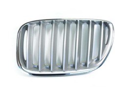 Bmw X5 E53 Priekinis Ziergitter Kairysis Originalus 51138250051