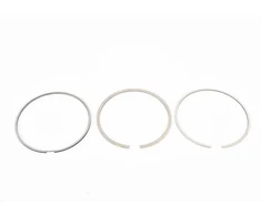 Bmw X5 E53 Z8 E52 Alus Kolbenringe Reparatursatz Originalus 11257515722