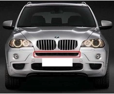 Bmw X5 E70 Grid Center Originalus 51118038265