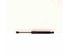 Bmw Z4 E85 01 2002 08 2008 Galinės Klapos Gazdruckfeder Originalus 51247016186