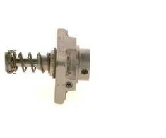 BOSCH cilindrų galvutė F01M101781