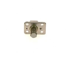 BOSCH cilindrų galvutė F01M101781