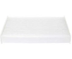 BOSCH filtras, salono oro 1987435010 272775081R