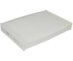 BOSCH filtras, salono oro 1987435010 272775081R