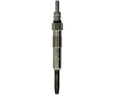 BOSCH kaitinimo žvakė 0250202022 N10140104