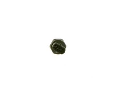 BOSCH Kuro slėgio jutiklis 0281006166