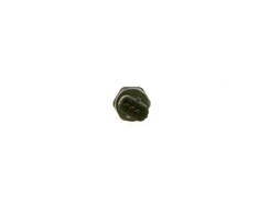 BOSCH Kuro slėgio jutiklis 0281006166