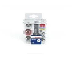 BOSCH lempučių asortimentas 1987301113