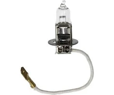 BOSCH lemputė 1987301006 01V409057