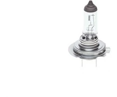 BOSCH lemputė 1987302091 64180L