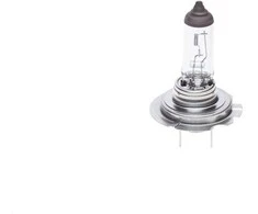 BOSCH lemputė 1987302091 64180L
