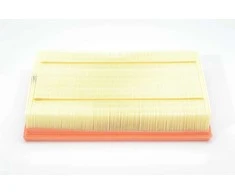 BOSCH oro filtras F026400055 0261155613