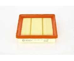 BOSCH oro filtras F026400325 1337929