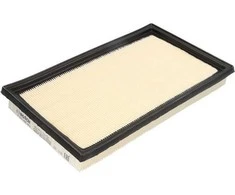 BOSCH oro filtras F026400454 0261155613